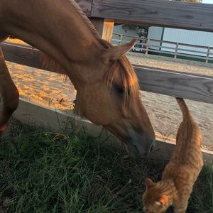 Meet your Posher, Avery